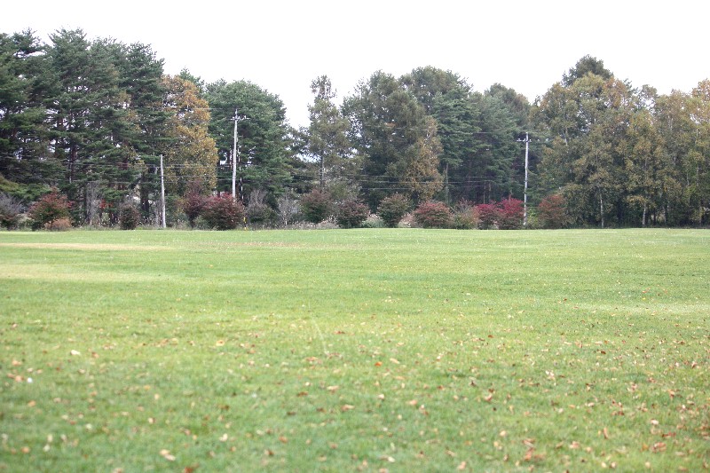 e0204314_14353587.jpg