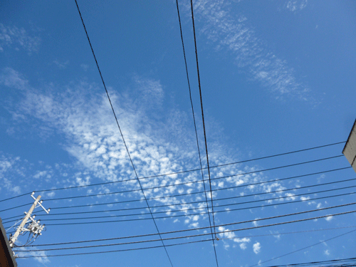 e0312121_22482498.gif