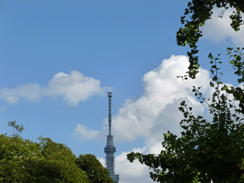 e0312121_2314638.gif