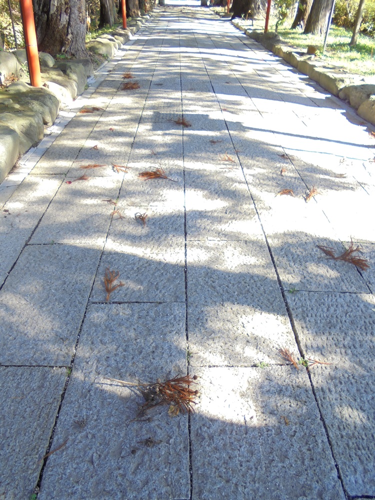 c0111229_20276.jpg