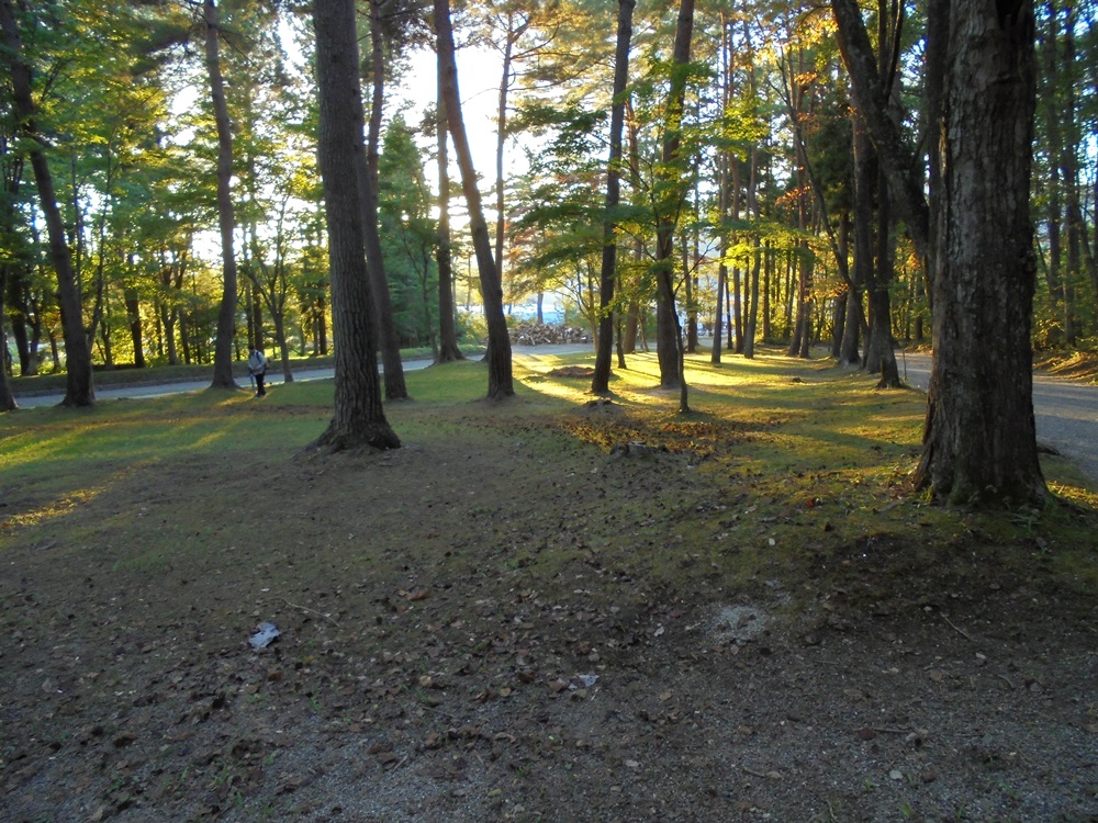 c0111229_2032077.jpg