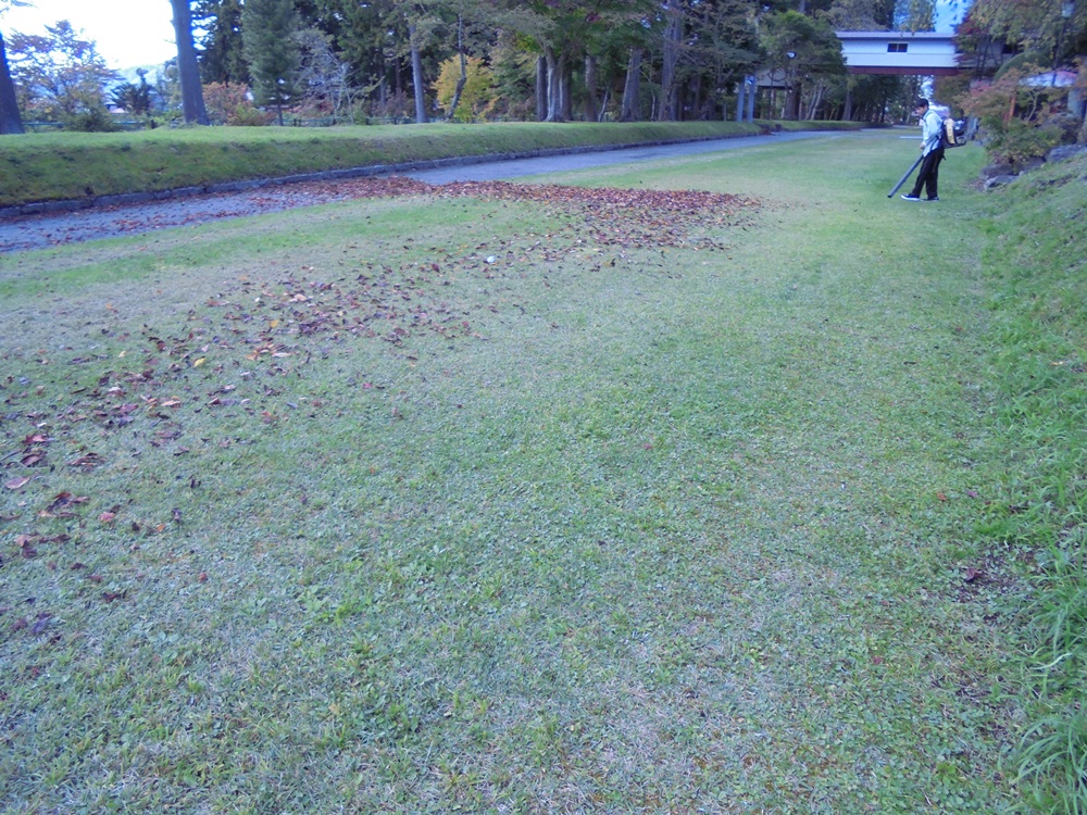 c0111229_203382.jpg