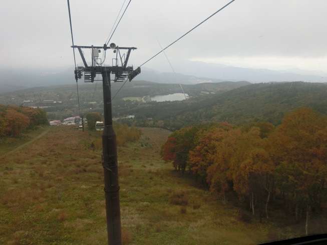 e0125131_21542737.jpg