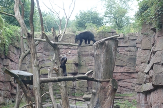 f0224632_73321.jpg