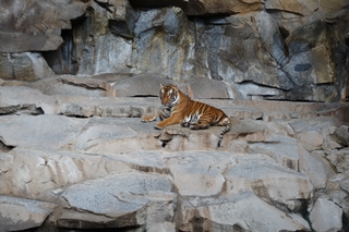 f0224632_73468.jpg