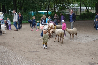 f0224632_74082.jpg
