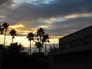 e0069234_701841.jpg