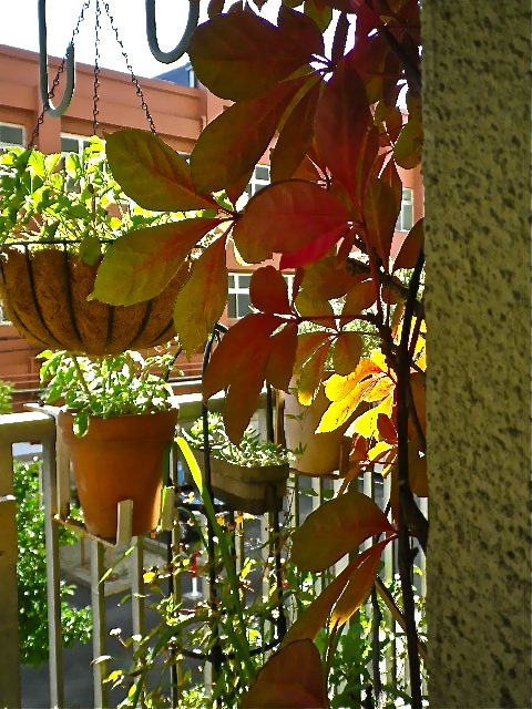 b0027736_21414988.jpg