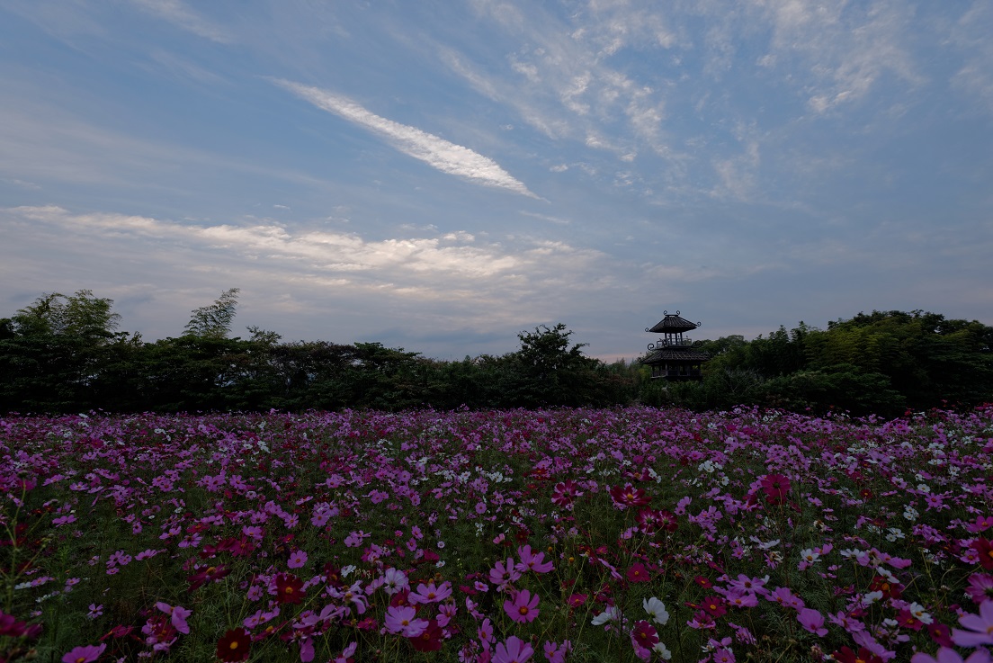 f0274536_015726.jpg