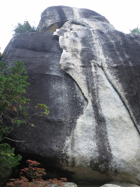 d0107938_1245190.jpg