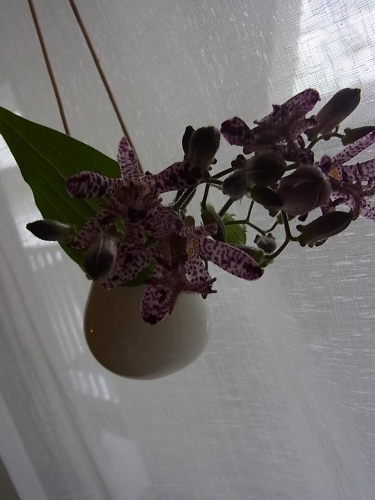 e0242839_13015651.jpg