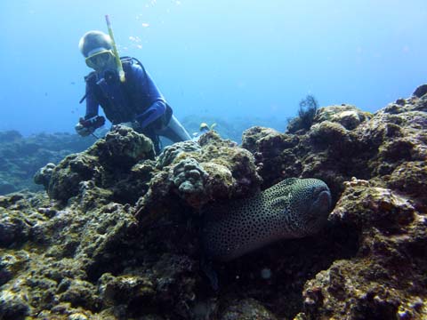 f0014842_18475211.jpg