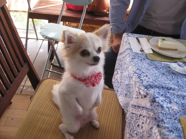 c0134645_2391355.jpg