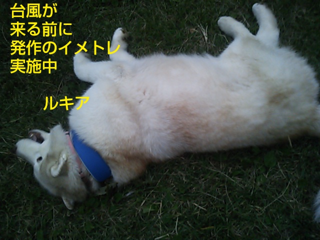 e0121548_22593158.jpg