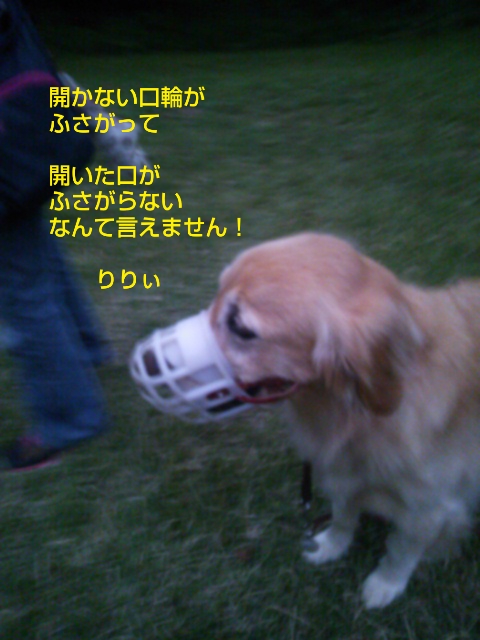 e0121548_2322660.jpg