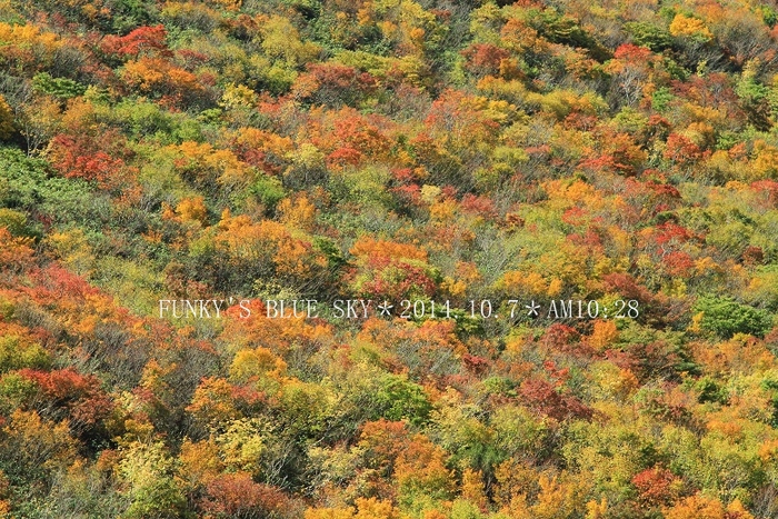 c0145250_204639.jpg