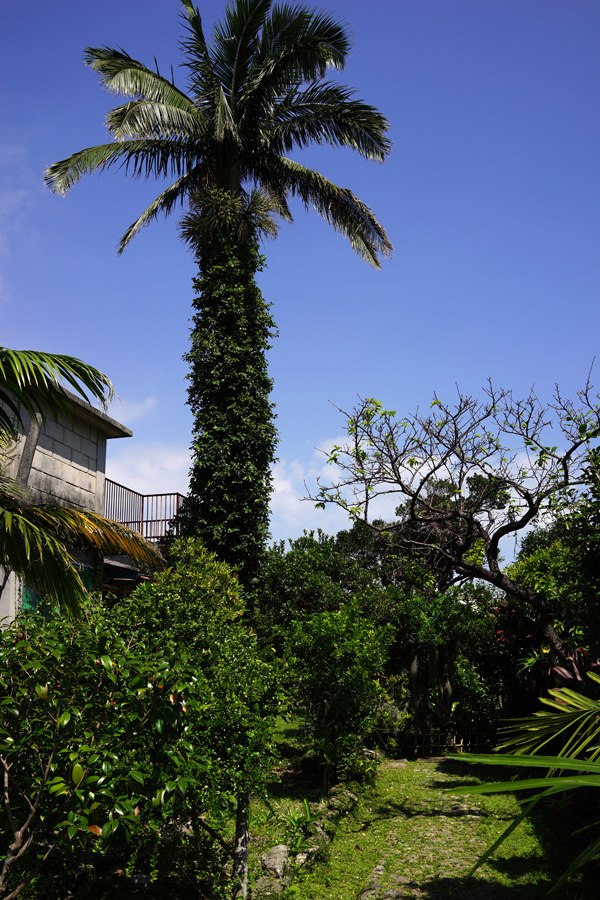 b0049152_17574084.jpg
