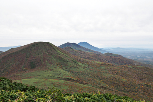 e0105954_17202381.jpg