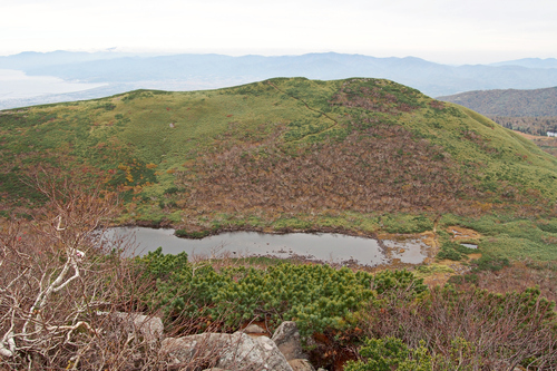 e0105954_17225168.jpg