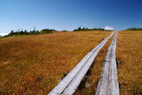 e0045768_21455771.jpg