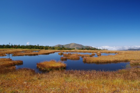e0045768_21473988.jpg