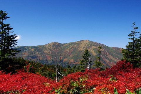 e0045768_2148322.jpg