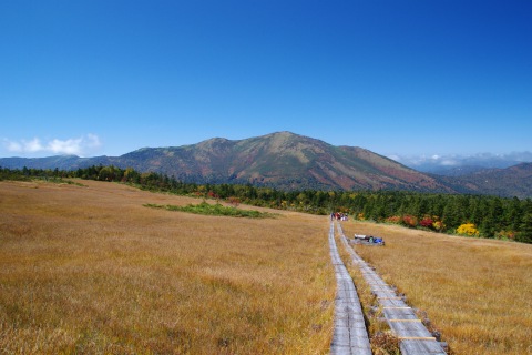 e0045768_21495464.jpg
