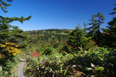 e0045768_2151086.jpg