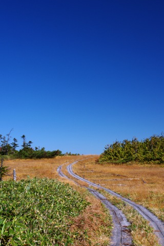 e0045768_21535963.jpg