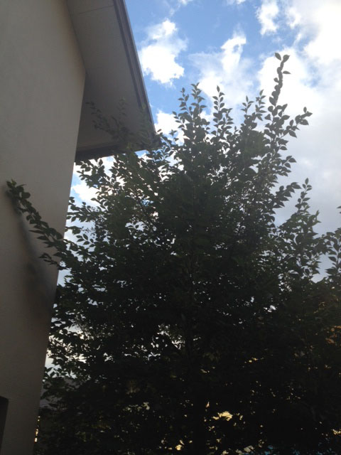 b0347069_06461164.jpg