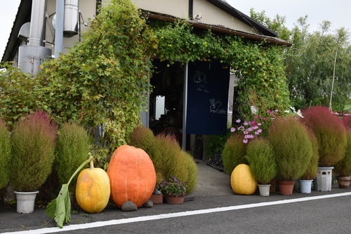 f0342371_1659201.jpg
