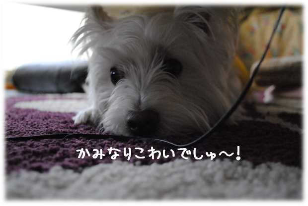 b0242873_08000446.png