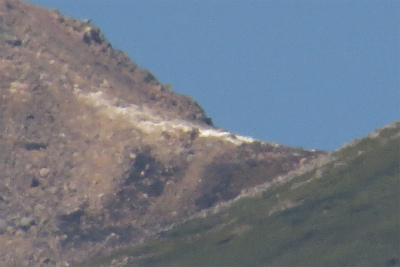 f0182173_12435083.jpg