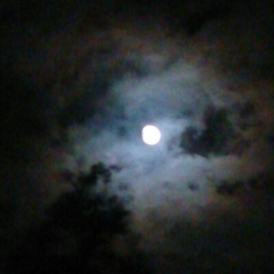 f0152875_92423.jpg