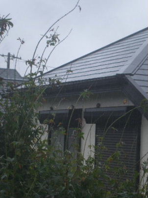 f0039281_22144894.jpg