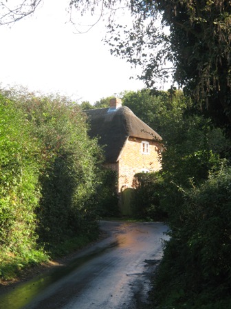 a0208783_420260.jpg