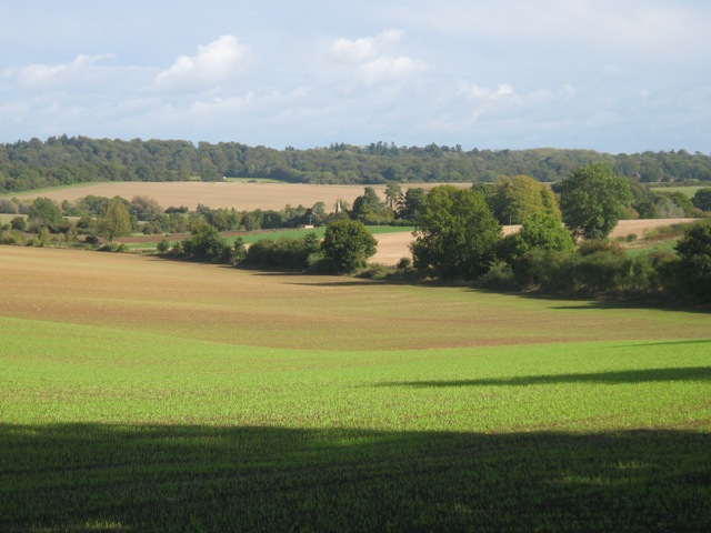 a0208783_4231760.jpg