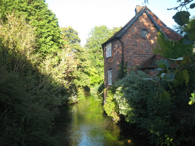 a0208783_4411423.jpg