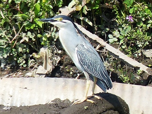 f0357487_2131323.jpg