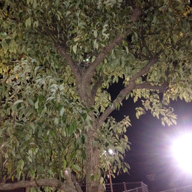 b0289696_09470566.jpg
