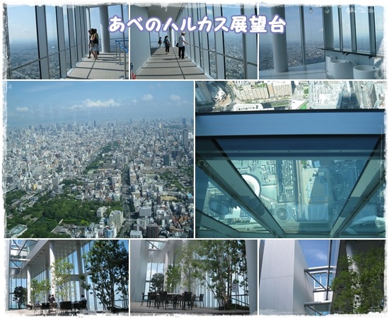 c0121496_16384145.jpg