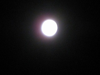 d0090001_22173146.jpg