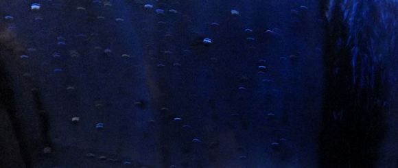 a0152009_11391125.jpg