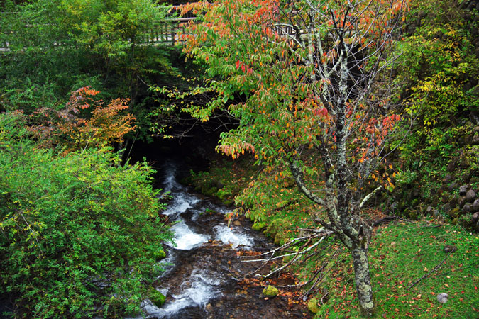 a0263109_17241790.jpg