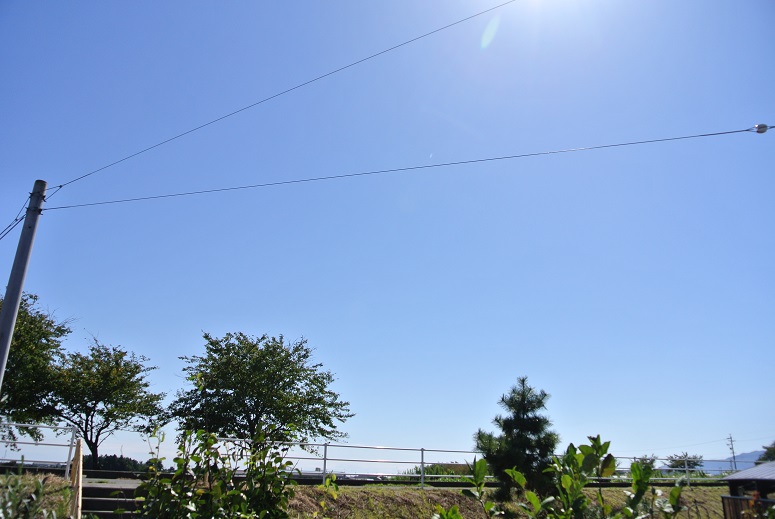 f0179209_11162276.jpg