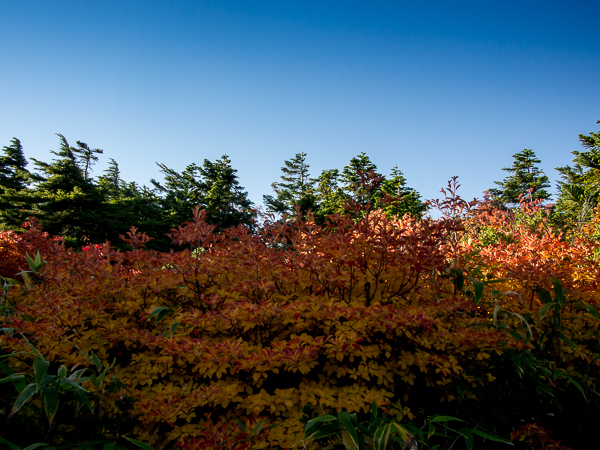 b0244811_2225627.jpg