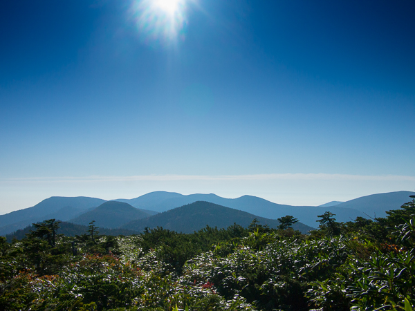 b0244811_22265578.jpg