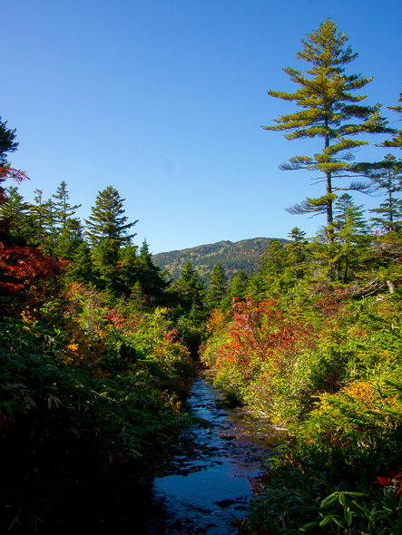 b0244811_22293456.jpg