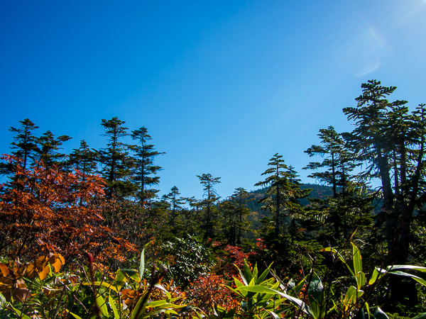 b0244811_22301220.jpg