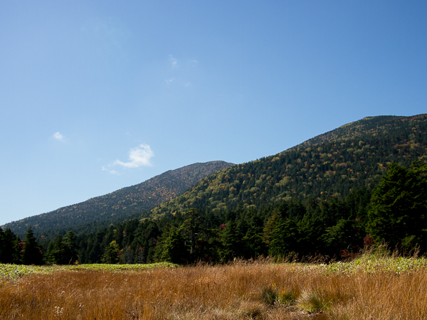 b0244811_22313918.jpg